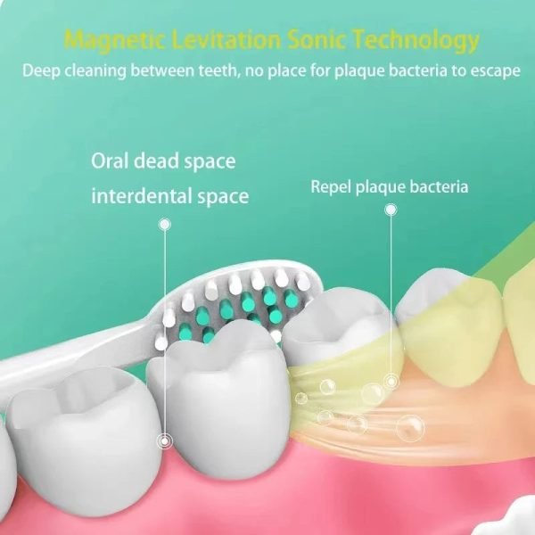 Adults Sonic Electric Toothbrush for Timer Teeth Ultrasonic Automatic Vibrator Whitening IPX7 Waterproof 4 Brush Head USB Type - Image 2