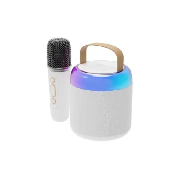 Bluetooth Wireless Portable Speaker Multi-function Karaoke Dual Microphone Music MP3 Player Karaoke Machine for Kids Adults - Image 12