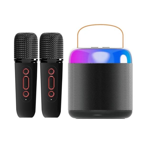 Bluetooth Wireless Portable Speaker Multi-function Karaoke Dual Microphone Music MP3 Player Karaoke Machine for Kids Adults - Image 9