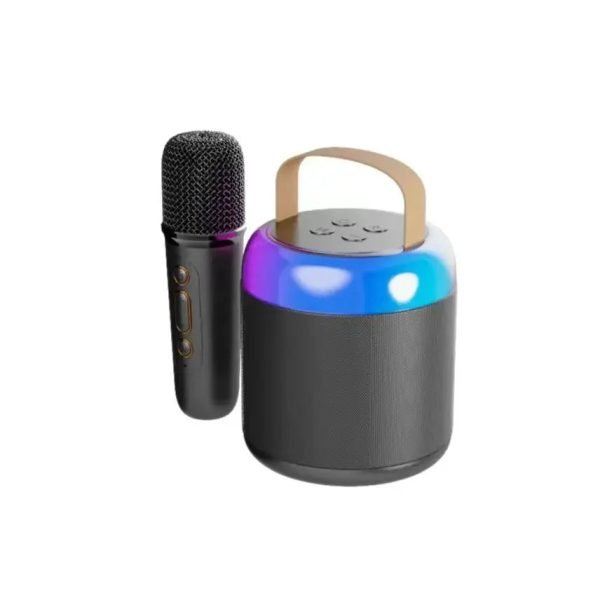 Bluetooth Wireless Portable Speaker Multi-function Karaoke Dual Microphone Music MP3 Player Karaoke Machine for Kids Adults - Image 10