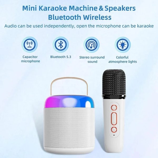 Bluetooth Wireless Portable Speaker Multi-function Karaoke Dual Microphone Music MP3 Player Karaoke Machine for Kids Adults - Image 6