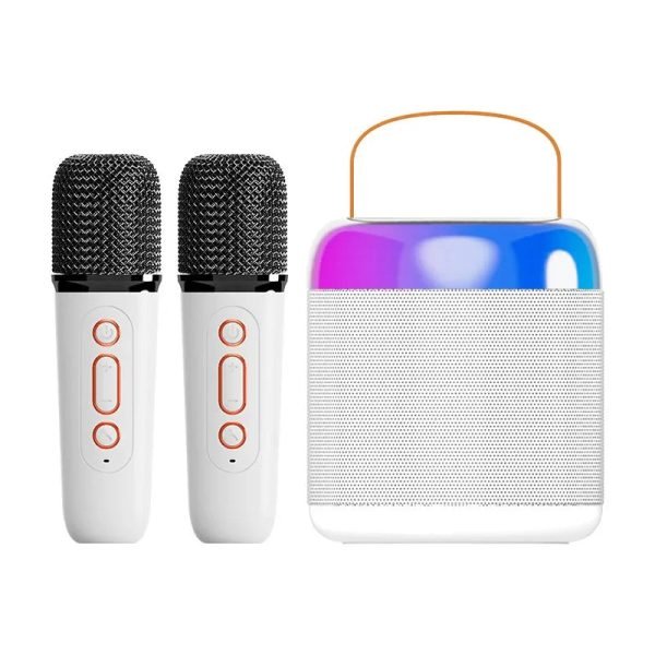 Bluetooth Wireless Portable Speaker Multi-function Karaoke Dual Microphone Music MP3 Player Karaoke Machine for Kids Adults - Image 8