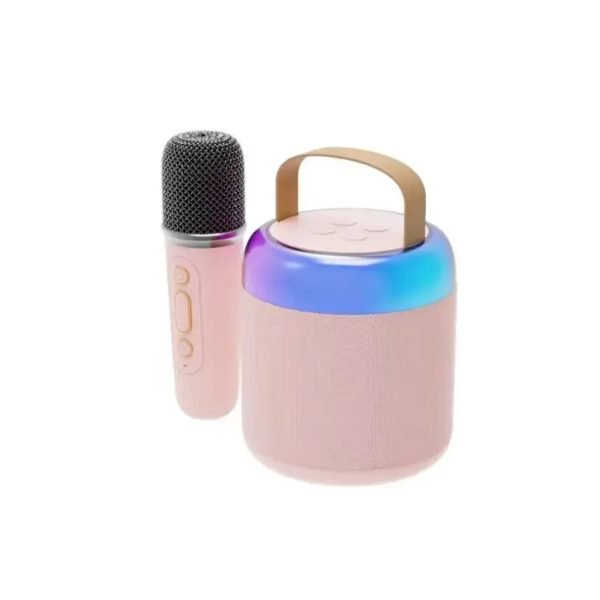 Bluetooth Wireless Portable Speaker Multi-function Karaoke Dual Microphone Music MP3 Player Karaoke Machine for Kids Adults - Image 11