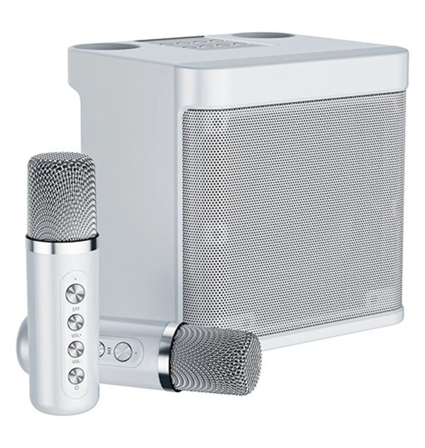 Dual Microphone Karaoke Machine for Adults and Kids Portable Bluetooth PA Speaker System with 2 Wireless Microphones for Home - Image 8