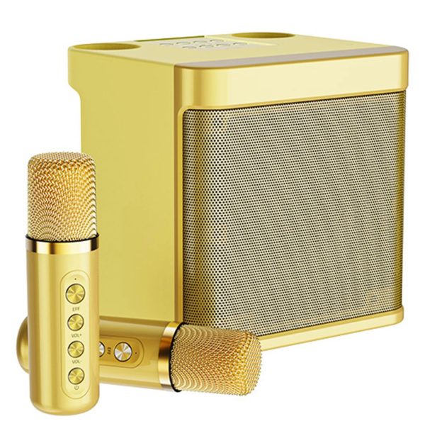 Dual Microphone Karaoke Machine for Adults and Kids Portable Bluetooth PA Speaker System with 2 Wireless Microphones for Home - Image 7