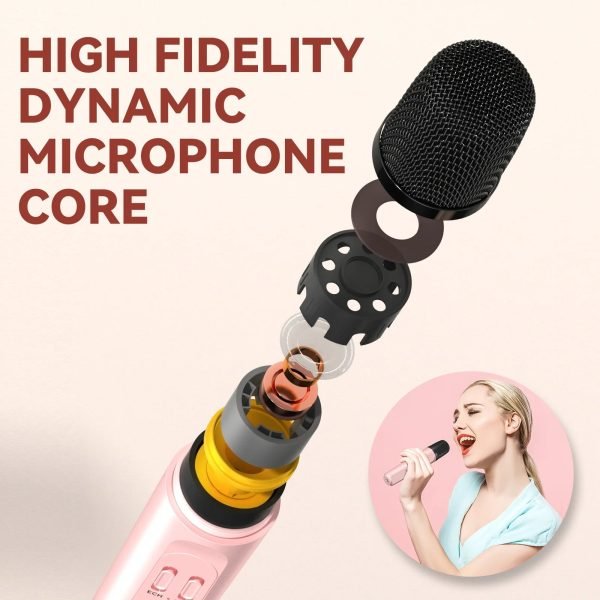 Luxury Family KTV Audio Set Dual Wireless Microphone Integrated Singing Machine Outdoor Portable Karaoke Bluetooth Speaker Box - Image 6