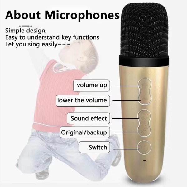Wireless Karaoke Machine Bluetooth Music MP3 Player With Dual Wireless Microphones Adults Kids Home KTV Player - Image 5